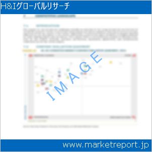 市場と産業調査レポートのイメージ